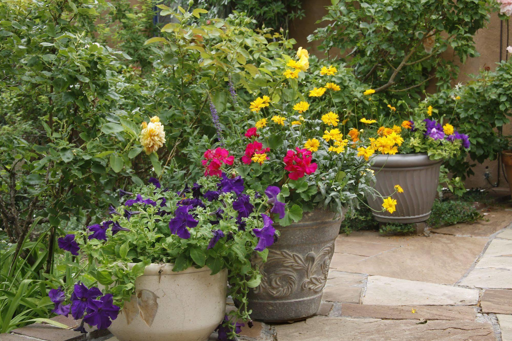 The Madeleine Bed & Breakfast Inn Santa Fe Exteriör bild